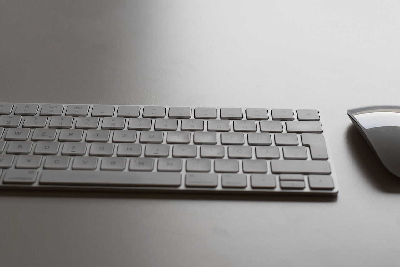 input device